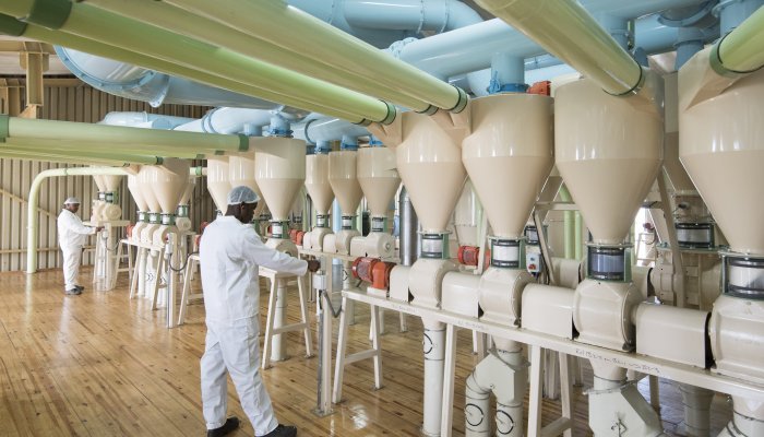 Agri-processing plant in the northern regions of South Africa.